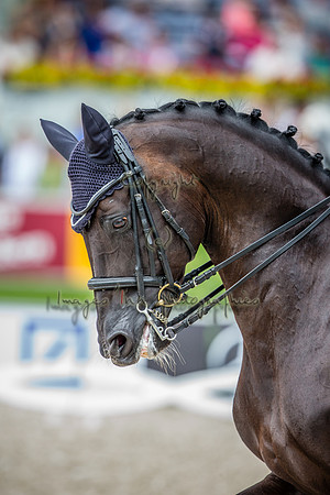 20150815_EKL_0078