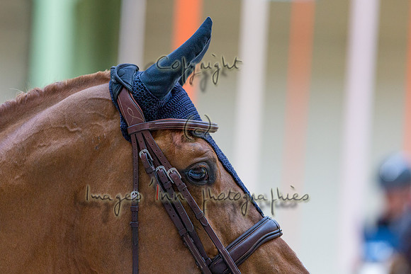 20140315_EKL_0194