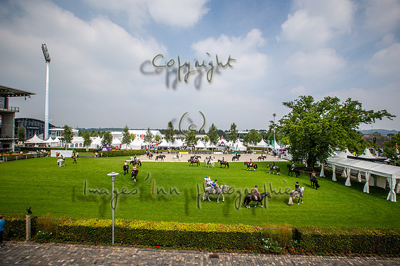 20150811_EKL_0055