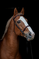 20081030_EKL_0023