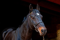 20081025_EKL_0002