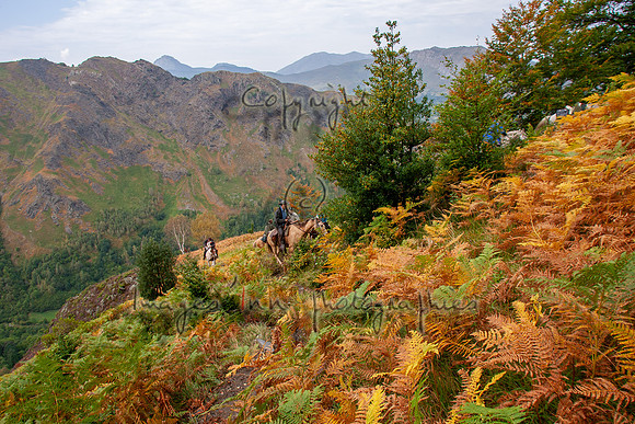 20060911_EKL_0018