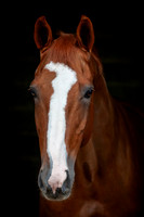 20081021_EKL_0003