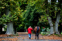 20081030_EKL_0004