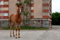 20080717_EKL_0017
