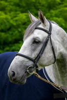 20080607_EKL_0003