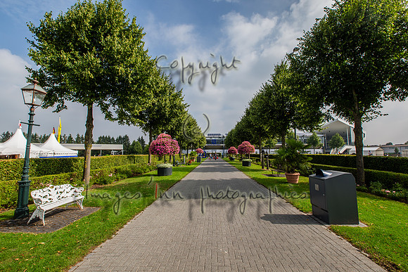 20150811_EKL_0030