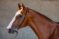 20080724_EKL_0004