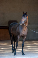 20080724_EKL_0010