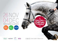La nuit du cheval. Villepinte 2016