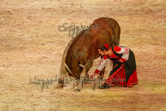 20121103_EKL_0262