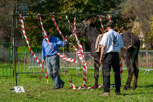 20061008_EKL_0056