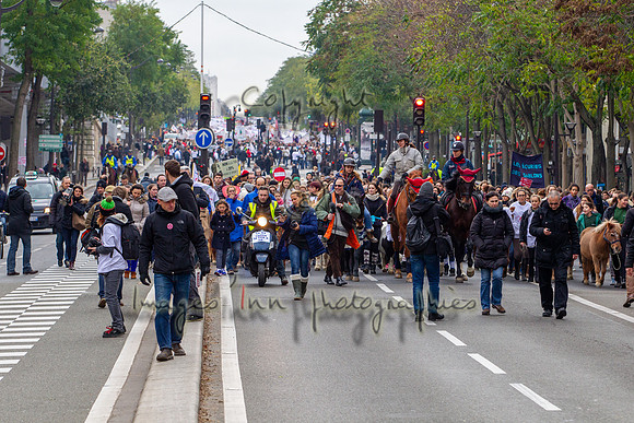 20131124_EKL_0055