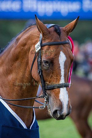 20150906_EKL_0300