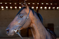 20080724_EKL_0007