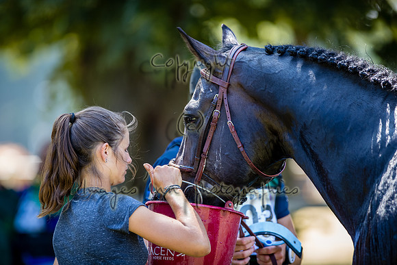 20190715_EKL_0241