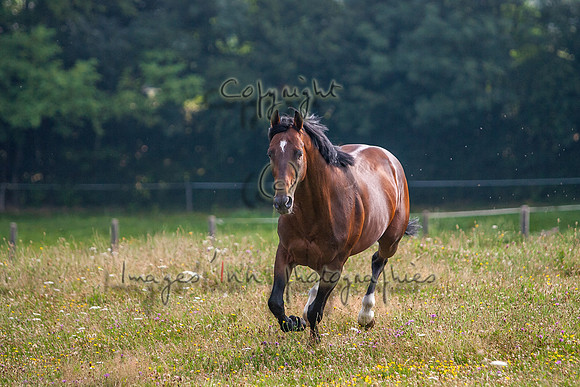 20080725_EKL_0062