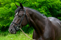 20080607_EKL_0097
