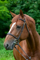 20080607_EKL_0058
