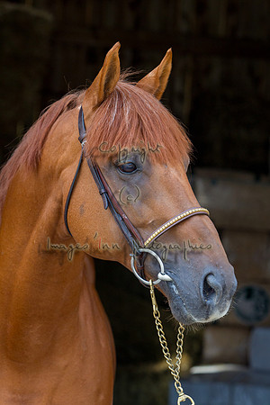20120902_EKL_0217