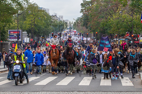 20131124_EKL_0074