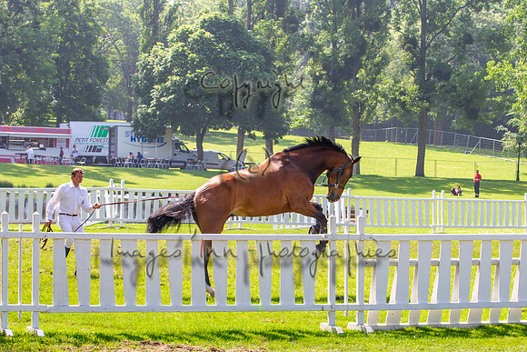 20130608_EKL_0013