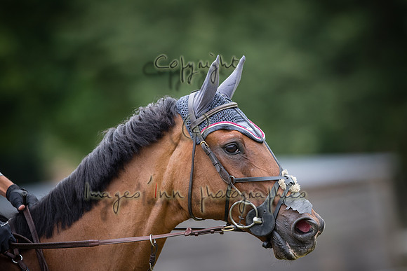 20190714_EKL_0052