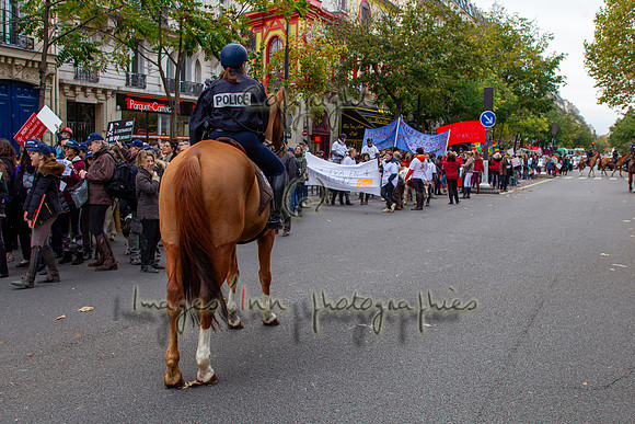 20131111_EKL_0180