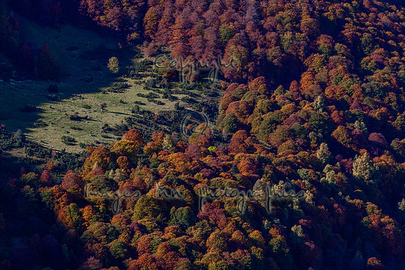 20071022_EKL_0009
