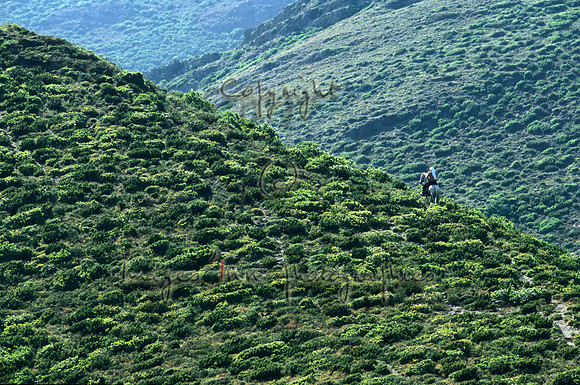 Cap Corse 06