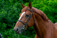 20080607_EKL_0063