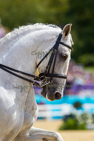 20120803_EKL_0310