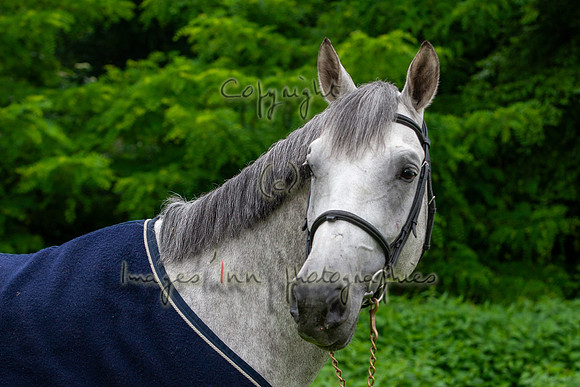 20080607_EKL_0021