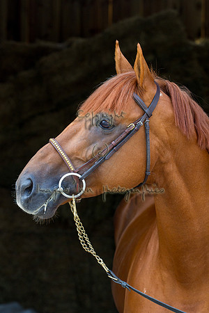 20120902_EKL_0216
