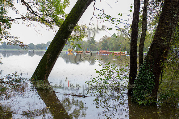 20121020_EKL_0008