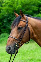 20080607_EKL_0045