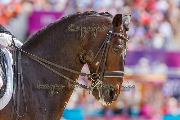 20120803_EKL_0388