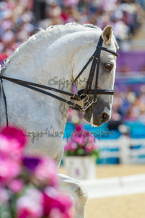 20120803_EKL_0324