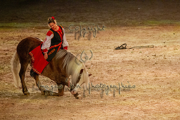 20121103_EKL_0257