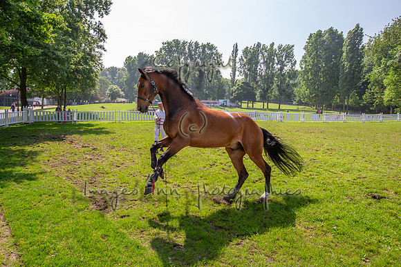 20130608_EKL_0020