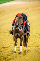 20150814_EKL_0180