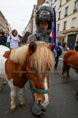 20131124_EKL_0177
