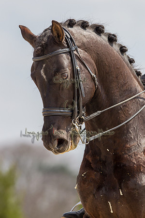 20130407_EKL_0027