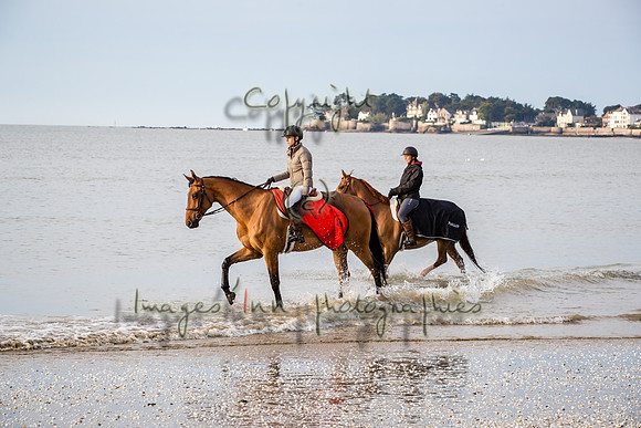 20190517_EKL_0023