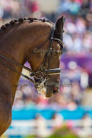 20120803_EKL_0363