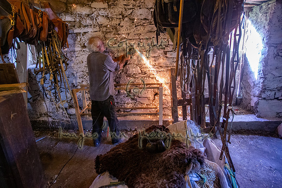 20141026_EKL_0007