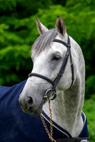 20080607_EKL_0014