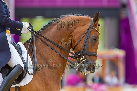 20120802_EKL_0087