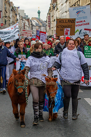 20131124_EKL_0204