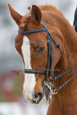 20130406_EKL_0135